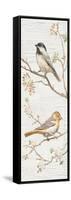 Vintage Birds Panel II-Danhui Nai-Framed Stretched Canvas