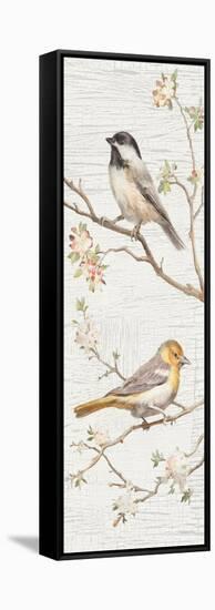 Vintage Birds Panel II-Danhui Nai-Framed Stretched Canvas