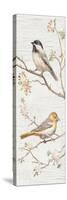 Vintage Birds Panel II-Danhui Nai-Stretched Canvas