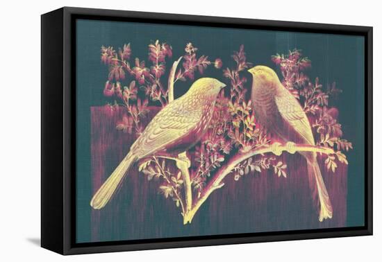Vintage Birds (Pink)-null-Framed Stretched Canvas