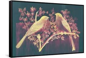 Vintage Birds (Pink)-null-Framed Stretched Canvas