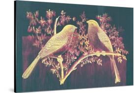 Vintage Birds (Pink)-null-Stretched Canvas