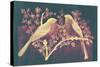 Vintage Birds (Pink)-null-Stretched Canvas