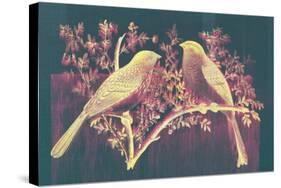 Vintage Birds (Pink)-null-Stretched Canvas