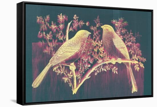Vintage Birds (Pink)-null-Framed Stretched Canvas