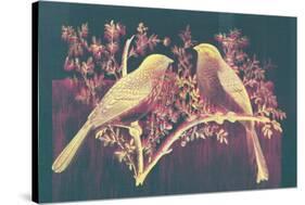 Vintage Birds (Pink)-null-Stretched Canvas