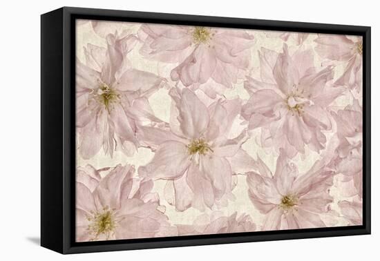 Vintage Blossom-Cora Niele-Framed Stretched Canvas