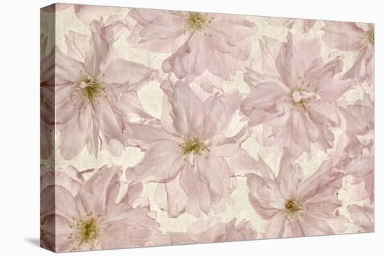 Vintage Blossom-Cora Niele-Stretched Canvas