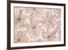 Vintage Blossom-Cora Niele-Framed Photographic Print