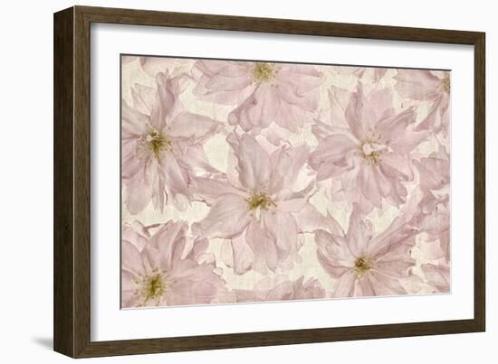 Vintage Blossom-Cora Niele-Framed Photographic Print