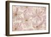 Vintage Blossom-Cora Niele-Framed Photographic Print