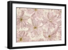 Vintage Blossom-Cora Niele-Framed Photographic Print