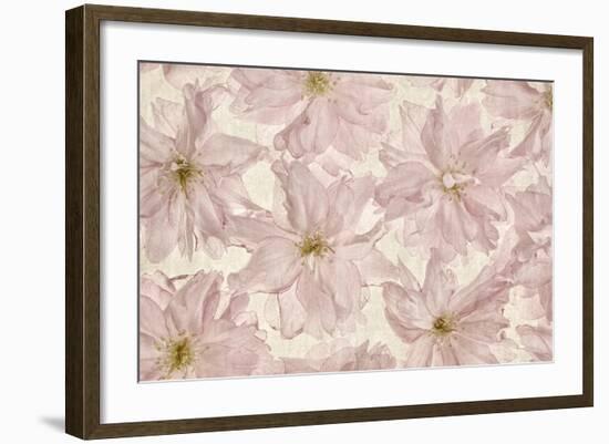 Vintage Blossom-Cora Niele-Framed Photographic Print