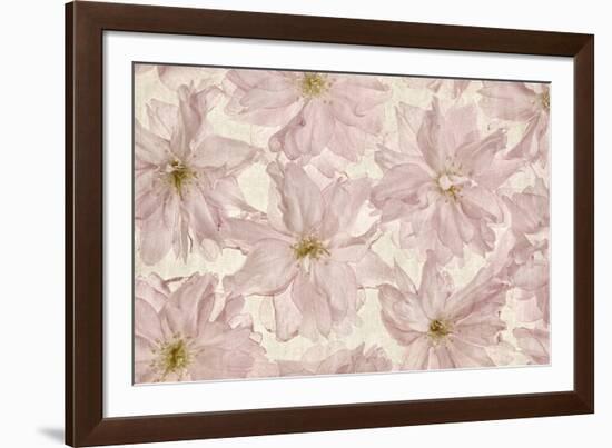 Vintage Blossom-Cora Niele-Framed Photographic Print