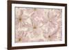 Vintage Blossom-Cora Niele-Framed Photographic Print