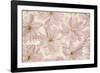 Vintage Blossom-Cora Niele-Framed Photographic Print