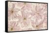 Vintage Blossom-Cora Niele-Framed Stretched Canvas