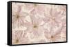 Vintage Blossom-Cora Niele-Framed Stretched Canvas