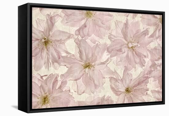 Vintage Blossom-Cora Niele-Framed Stretched Canvas