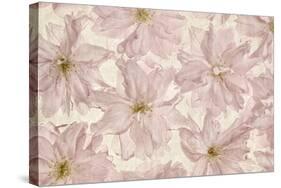 Vintage Blossom-Cora Niele-Stretched Canvas