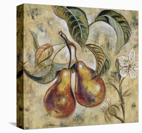 Vintage Blossoms I-Giovanni-Stretched Canvas