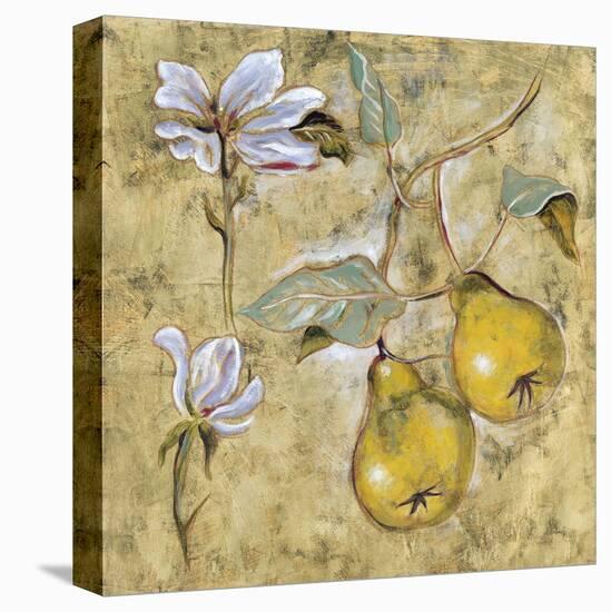 Vintage Blossoms II-Giovanni-Stretched Canvas