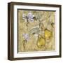 Vintage Blossoms II-Giovanni-Framed Giclee Print