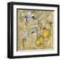 Vintage Blossoms II-Giovanni-Framed Giclee Print