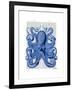 Vintage Blue Octopus 1 Front-Fab Funky-Framed Art Print