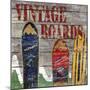 Vintage boards I-Karen Williams-Mounted Premium Giclee Print