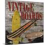 Vintage Boards II-Karen Williams-Mounted Giclee Print