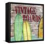 Vintage Boards III-Karen Williams-Framed Stretched Canvas