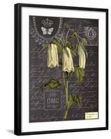 Vintage Botanical - Campanula-Stephanie Monahan-Framed Giclee Print