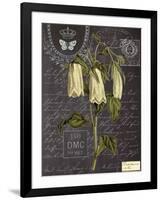 Vintage Botanical - Campanula-Stephanie Monahan-Framed Giclee Print