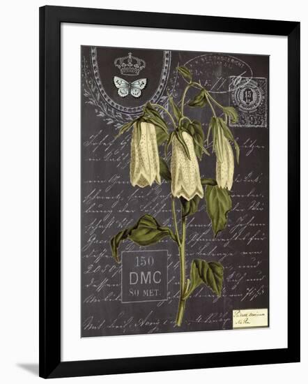 Vintage Botanical - Campanula-Stephanie Monahan-Framed Giclee Print