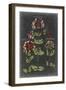 Vintage Botanical Chart I-Vision Studio-Framed Art Print