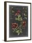 Vintage Botanical Chart II-Vision Studio-Framed Art Print