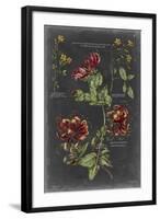 Vintage Botanical Chart II-Vision Studio-Framed Art Print