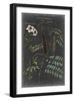 Vintage Botanical Chart V-Vision Studio-Framed Art Print