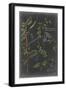 Vintage Botanical Chart VII-Vision Studio-Framed Art Print