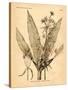 Vintage Botanical I-Gregory Gorham-Stretched Canvas