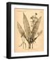 Vintage Botanical I-Gregory Gorham-Framed Art Print