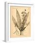 Vintage Botanical I-Gregory Gorham-Framed Art Print