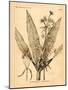 Vintage Botanical I-Gregory Gorham-Mounted Art Print