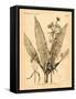 Vintage Botanical I-Gregory Gorham-Framed Stretched Canvas