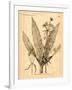 Vintage Botanical I-Gregory Gorham-Framed Art Print