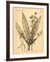 Vintage Botanical I-Gregory Gorham-Framed Art Print