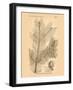 Vintage Botanical IX-Gregory Gorham-Framed Art Print