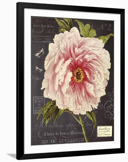 Vintage Botanical - Peony-Stephanie Monahan-Framed Giclee Print