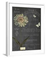 Vintage Botanical - Scabious-Stephanie Monahan-Framed Giclee Print